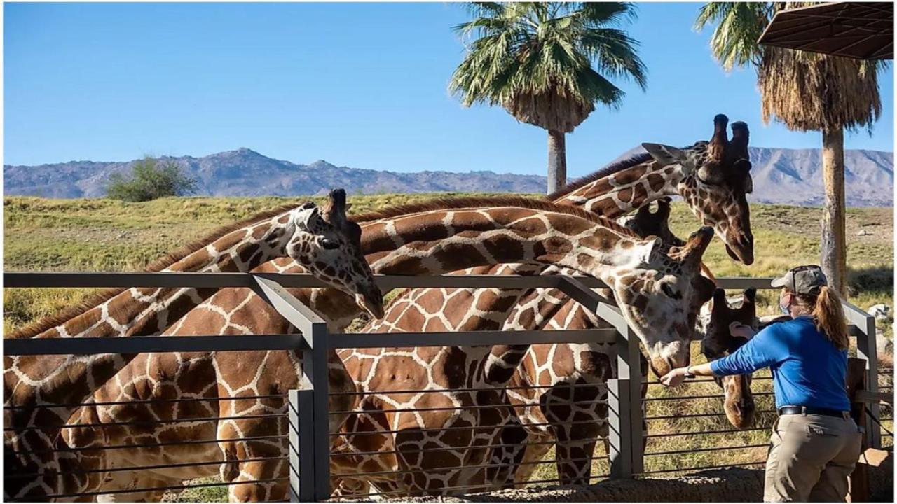 Holiday Inn Express Palm Desert By Ihg Esterno foto
